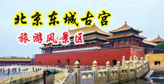 鸡巴插洞在线69中国北京-东城古宫旅游风景区